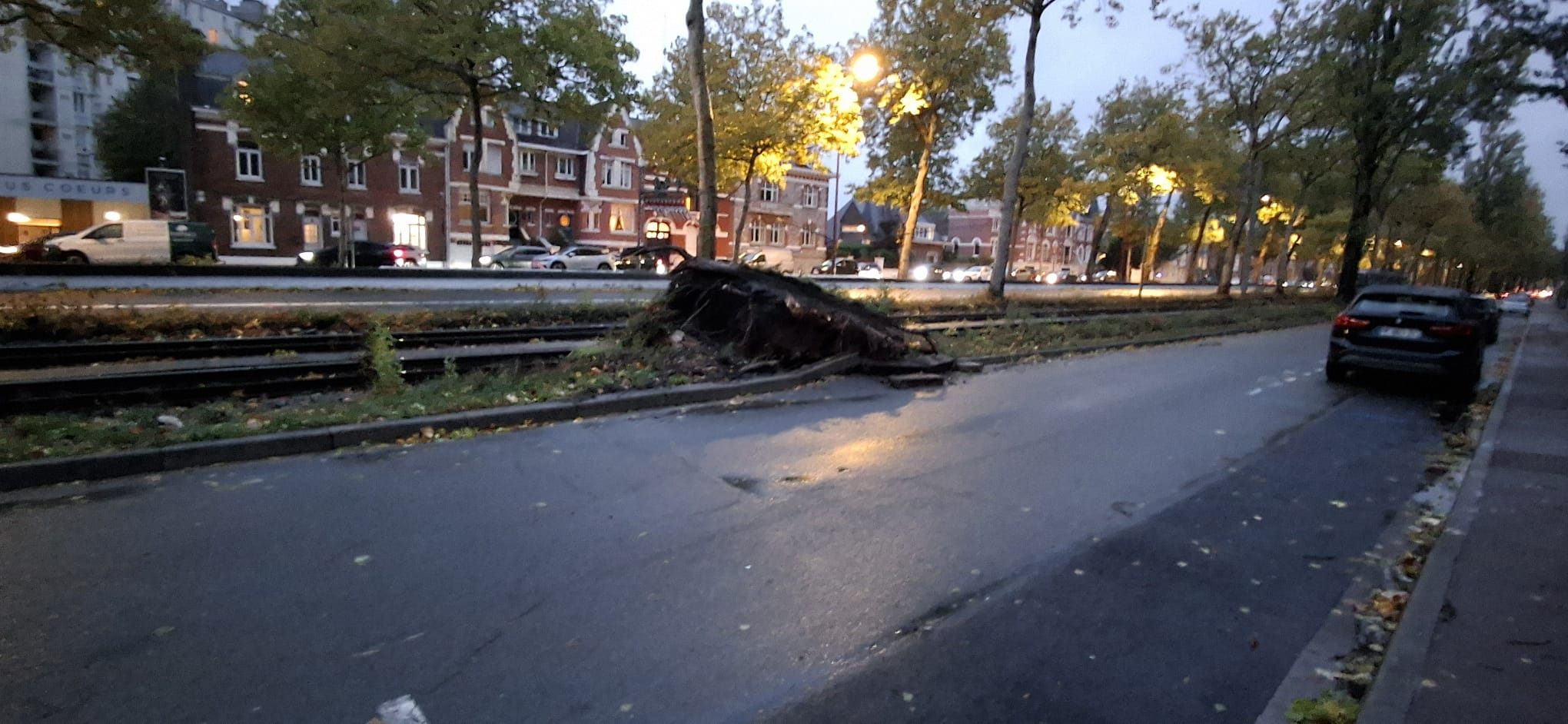Tempête Austen : tram à l'arrêt, bus déviés, TER coupés